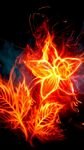 pic for Flame flowers